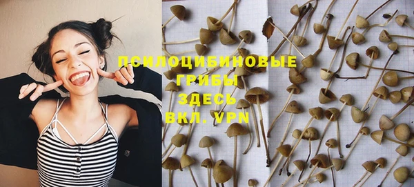 spice Зеленокумск
