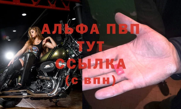 Альфа ПВП Елизово