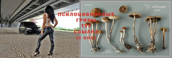 spice Зеленокумск