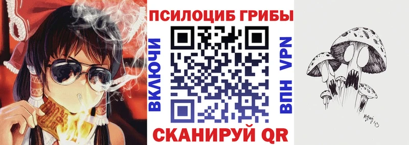 Галлюциногенные грибы Psilocybe  Купить где  Менделеевск 